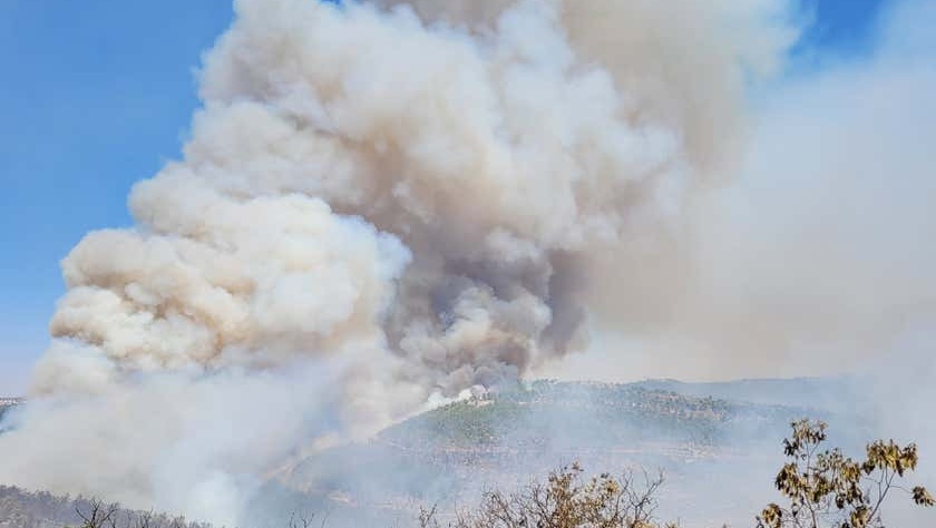 O incêndio em Jerusalém continua, no Monte Eitan, a oeste de Jerusalém, na segunda-feira. Crédito: Ariel Kedem / Autoridade de Parques e Natureza de Israel