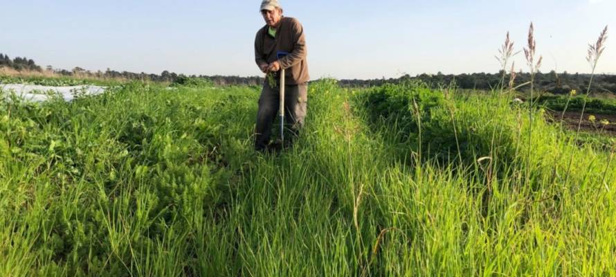 Ben Rosenberg deixará sua fazenda orgânica descansar durante o ano sabático. (Fazenda do Ben)