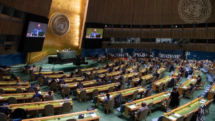 Uma visão ampla da 30ª reunião plenária da Assembleia Geral. (Crédito: UN Photo / Eskinder Debebe)