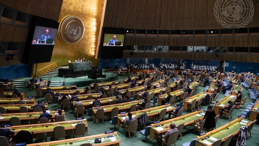 Uma visão ampla da 30ª reunião plenária da Assembleia Geral. (Crédito: UN Photo / Eskinder Debebe)