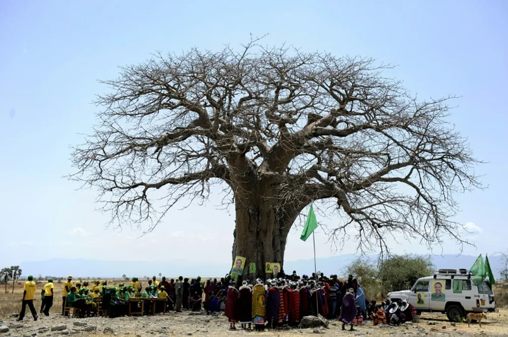 Massai se reúne sob um baobá em Oltukai, Tanzânia, em 26 de outubro de 2010. (Tony KARUMBA | AFP | Arquivos)