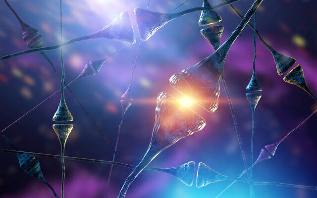 Imagem ilustrativa: neurônios no cérebro humano (iStock via Getty Images)